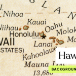Background Checks in Hawaii